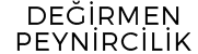 Partner 1