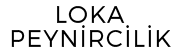 Partner 1