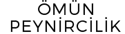 Partner 1
