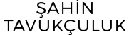 Partner 1